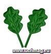 Дубовый лист (мягконабивной): 2 штуки, цвет зеленый